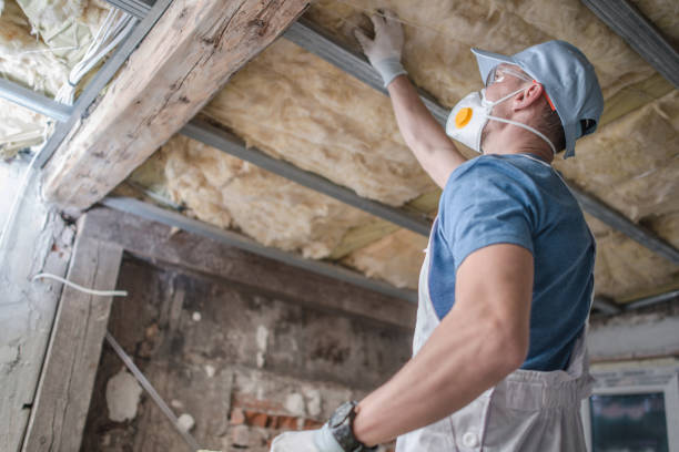 Best Insulation Replacement Services  in Flandreau, SD