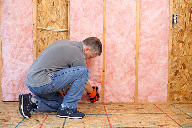 Best Residential Insulation Services  in Flandreau, SD