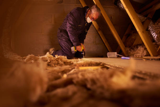 Best Professional Insulation Contractor  in Flandreau, SD