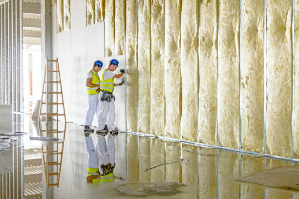 Best Insulation Repair Services  in Flandreau, SD